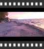 ../pictures/Lake Erie State Park NY/DSCF2008_1_small_icon.jpg
